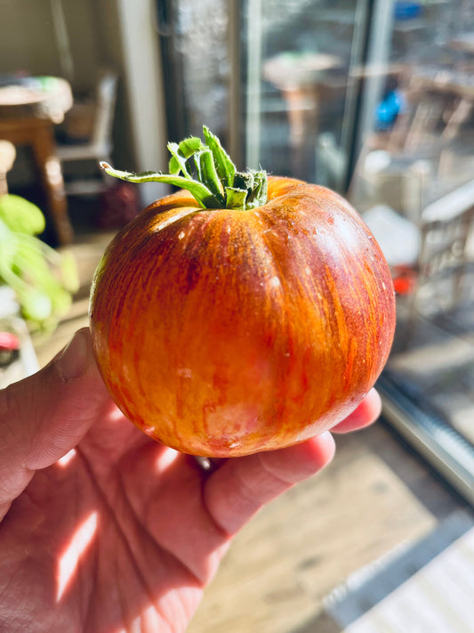 Phenomenally Simple & Delicious - Grated Tomato Salad /(sauce...)